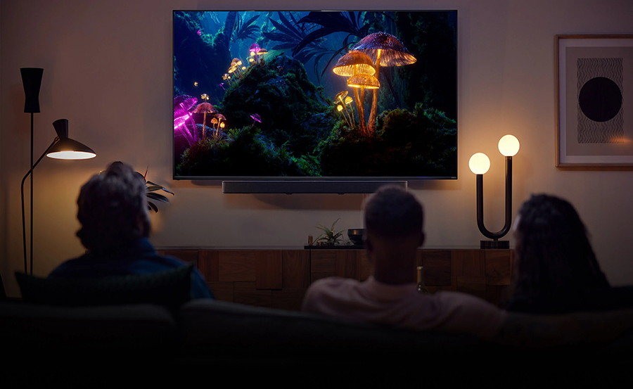Navigating Vizio Smart TV Accessibility Features
